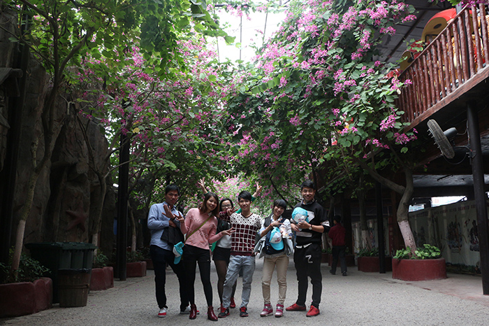 圣元電器愉快的旅途即將結(jié)束 圣元電器愉快的旅途即將結(jié)束