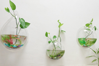 圣元電器別樣生活，綠意盎然