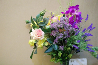 圣元電器鮮花盛開了！