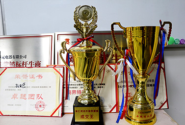 圣元電器團(tuán)隊(duì)榮譽(yù)獎杯